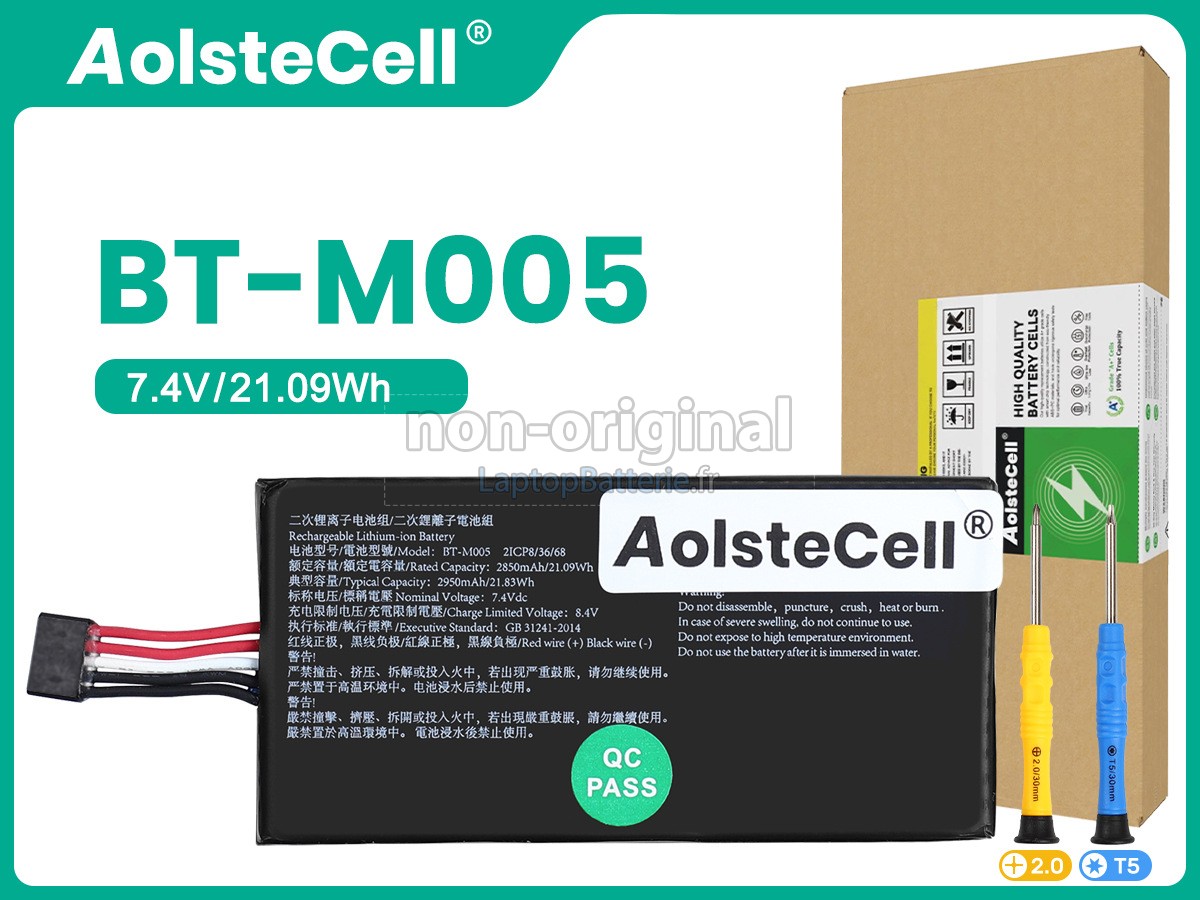 Batterie pour AolsteCell BT-M005