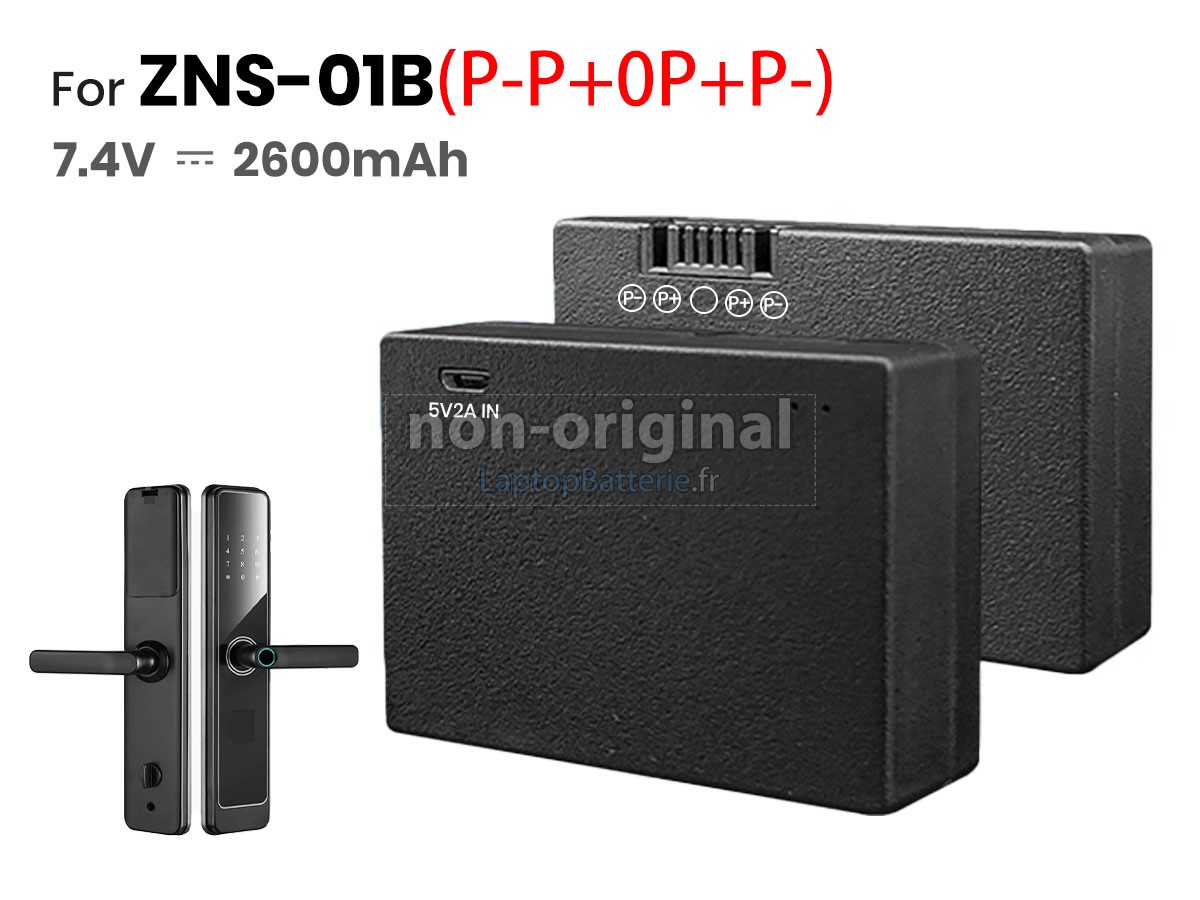 Batterie pour AolsteCell ZNS-01B