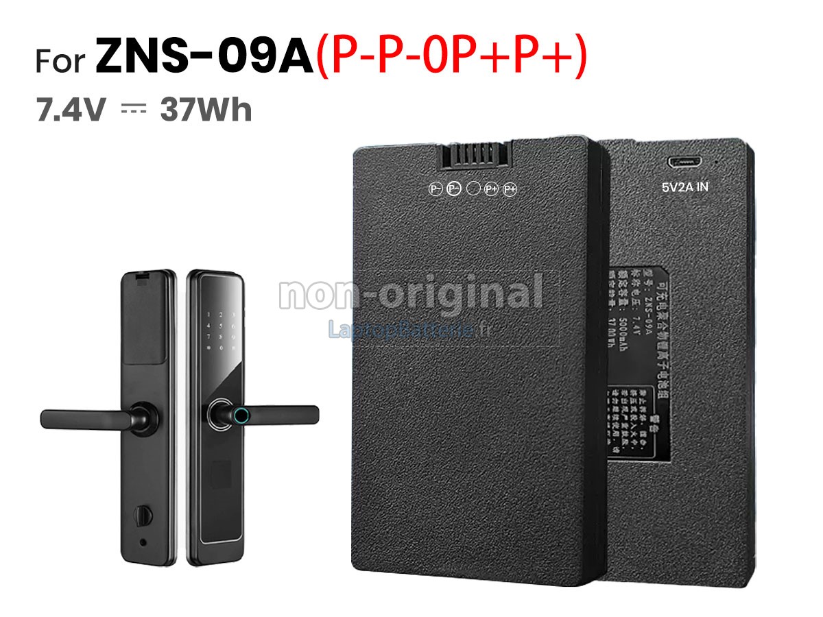 Batterie pour AolsteCell ZNS-09A