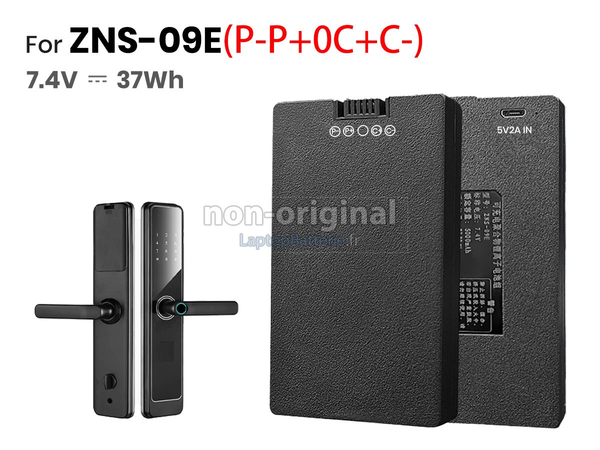 Batterie pour AolsteCell ZNS-09E