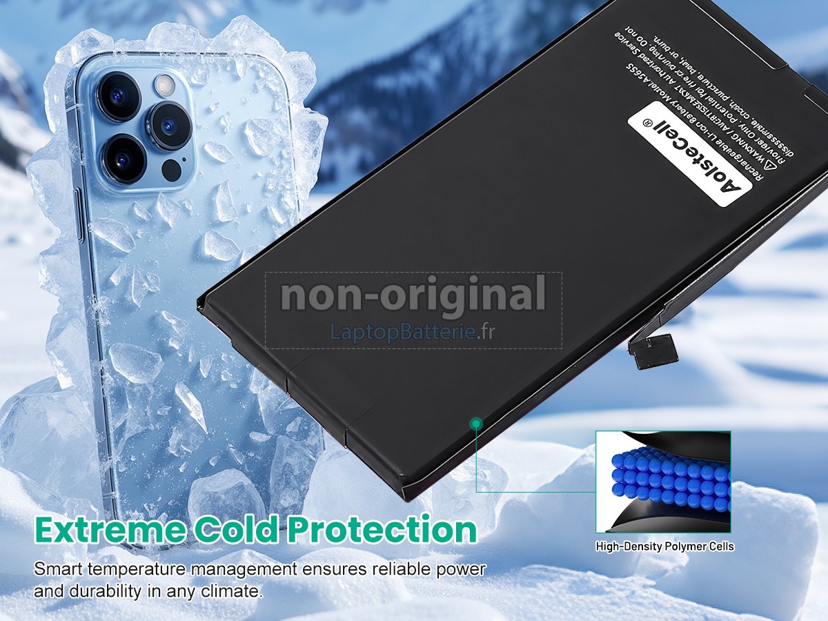 Batterie pour Apple MLNY3RU/A