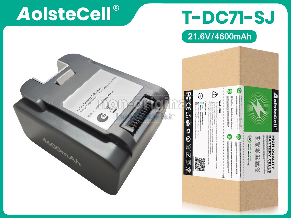 Batterie pour Arcelik PRO SD 9441