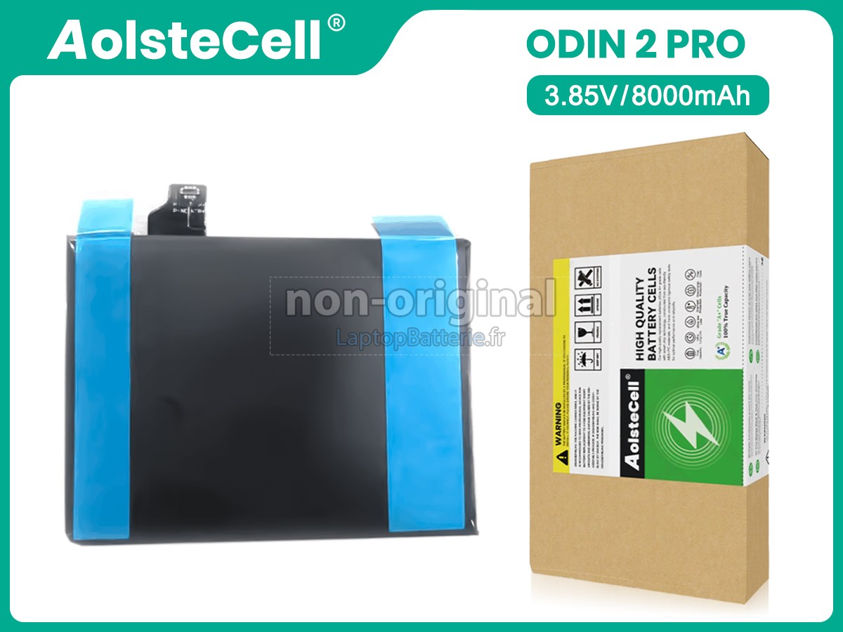 Batterie pour AYN ODIN 2 PRO