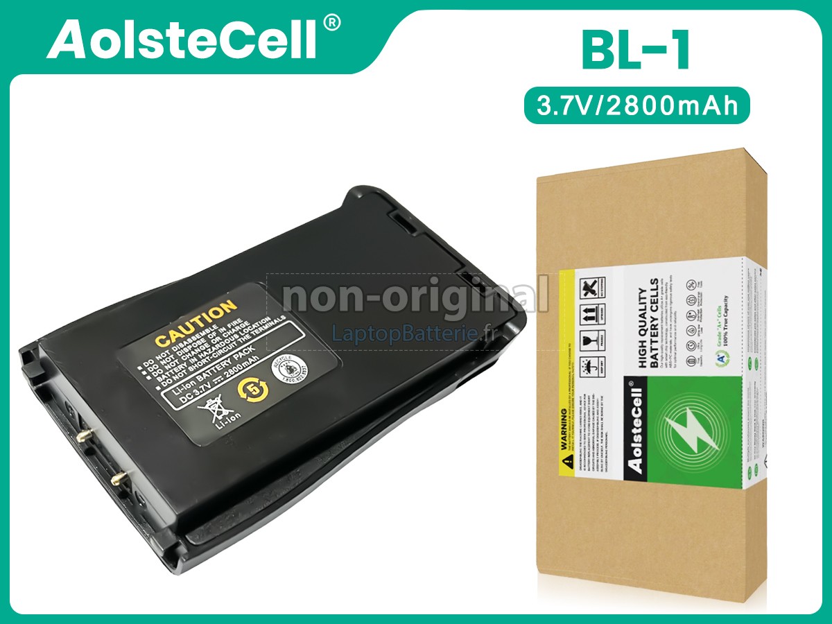 Batterie pour Baofeng BF-666S