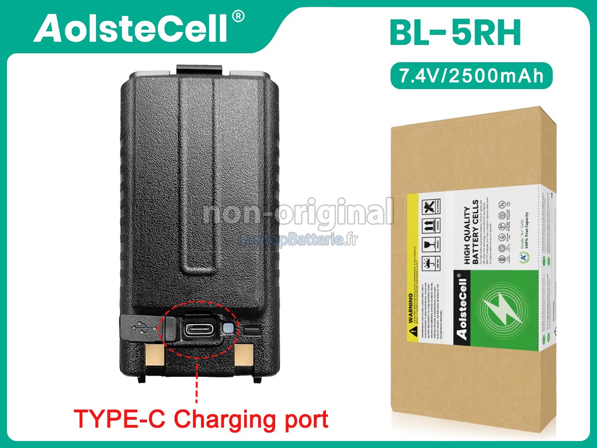 Batterie pour Baofeng UV-5RM