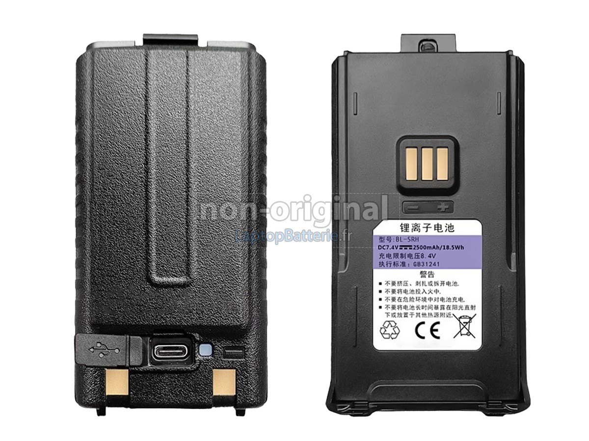 Batterie pour Baofeng UV-5RM