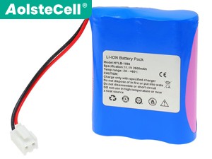 Batterie pour ordinateur portable Biocare HYLB-1994