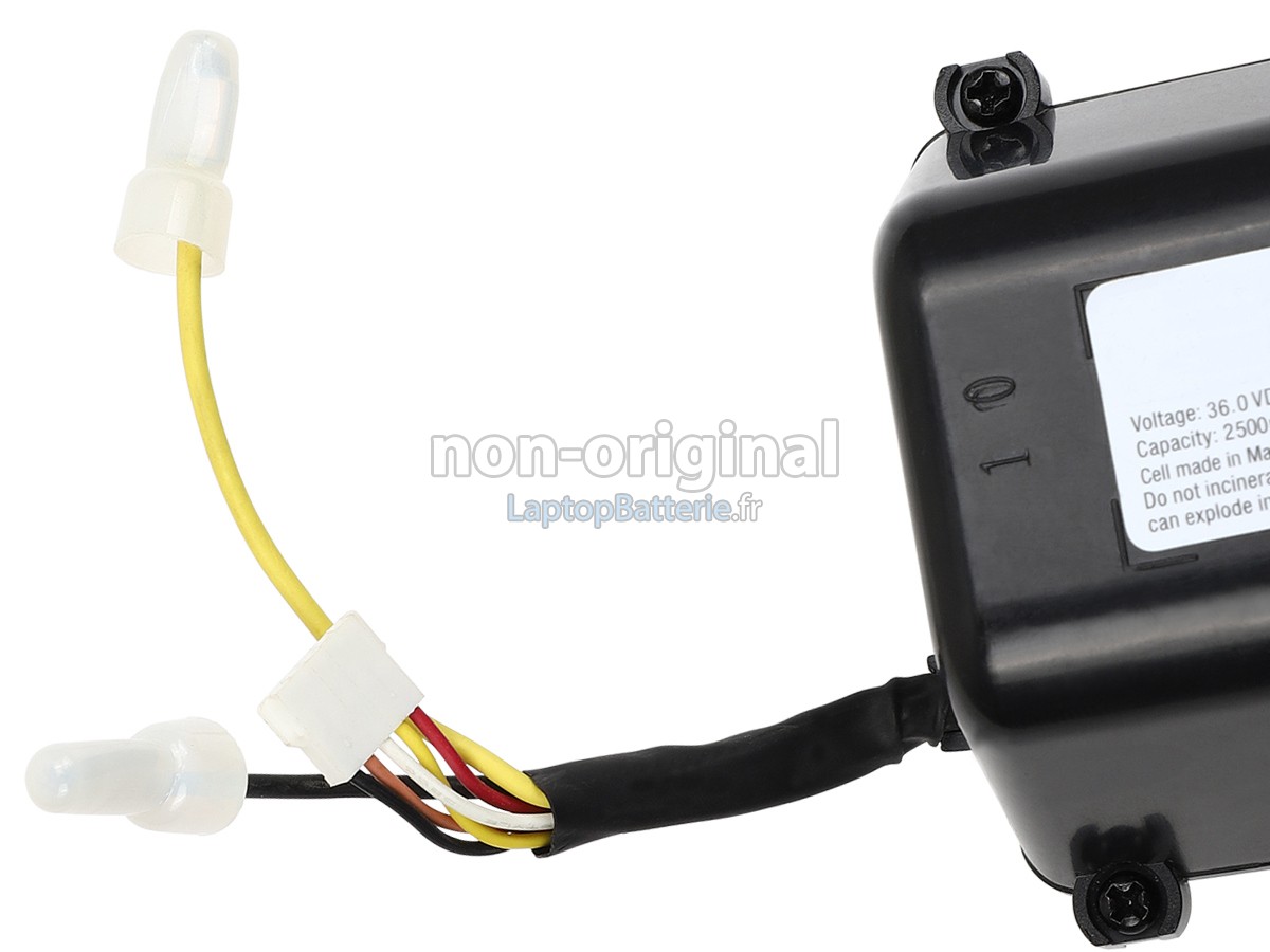 Batterie pour Bissell 69-0091-102