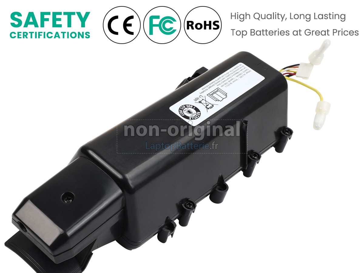 Batterie pour Bissell 69-0091-102