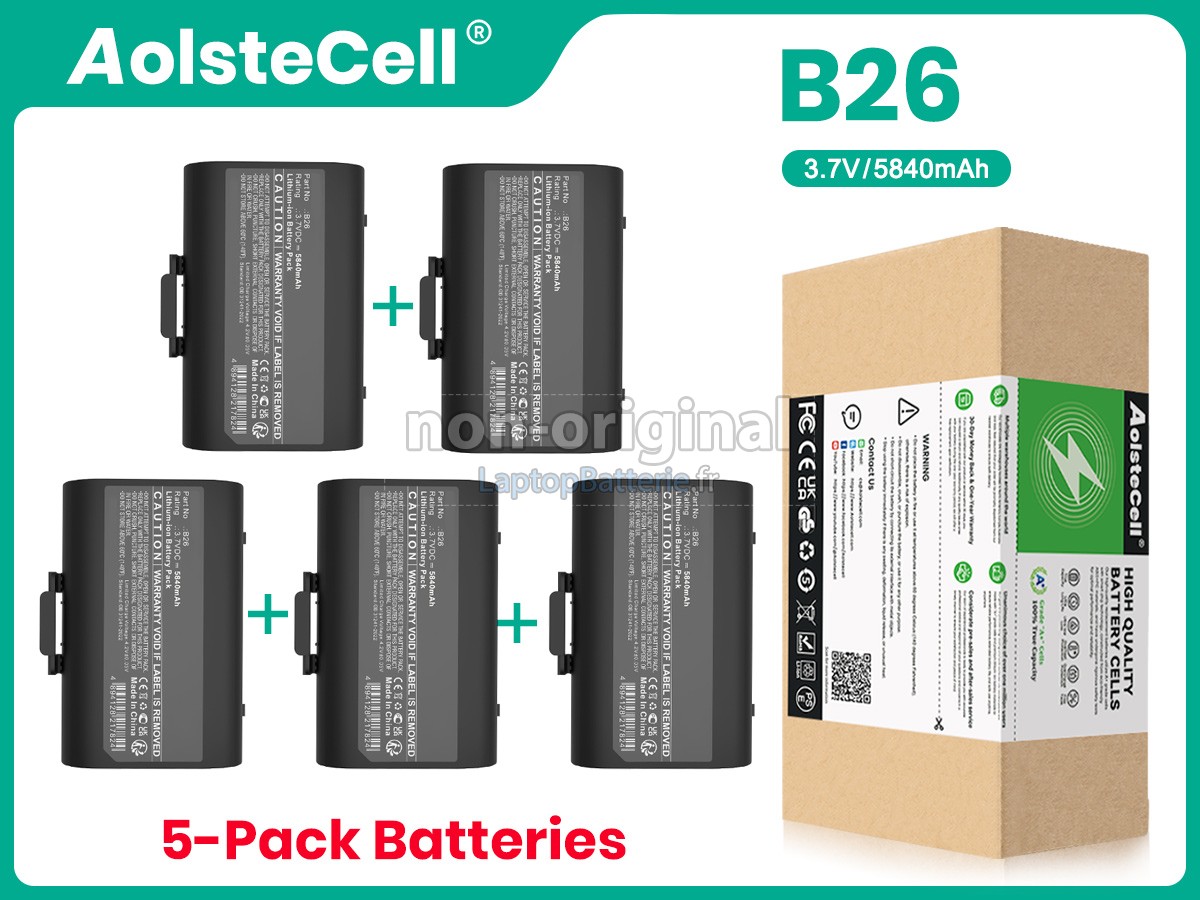 Batterie pour Castles Technology B26