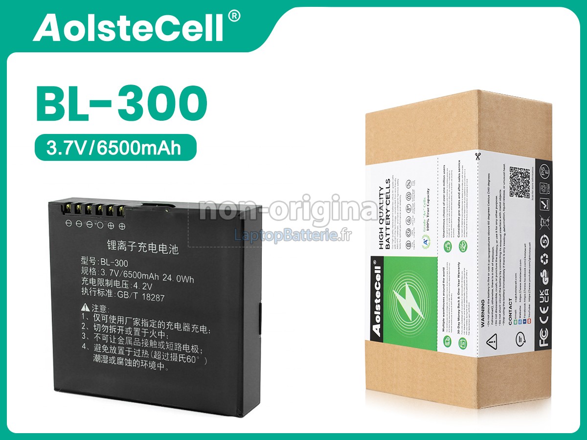 Batterie pour CHCNAV BL-300
