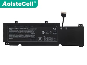 Batterie pour ordinateur portable Clevo NV40BAT-4-73
