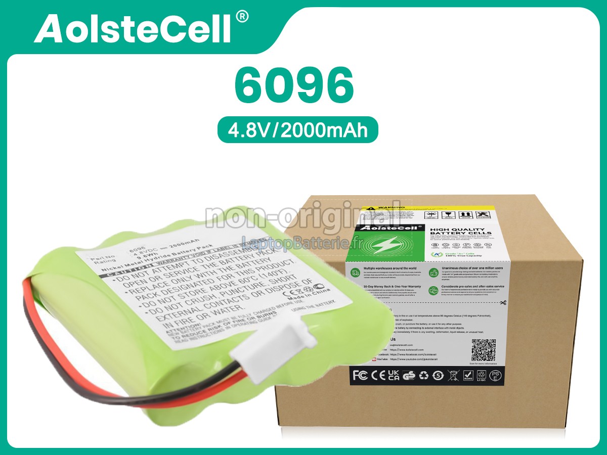 Batterie pour Delfi 88888477