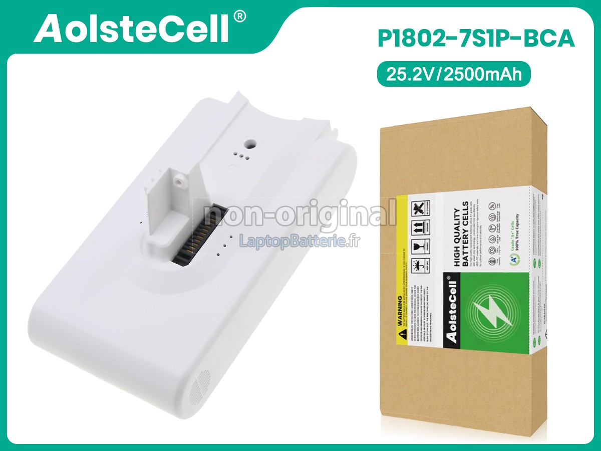 Batterie pour Dreame V9