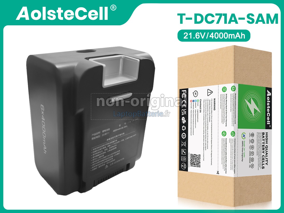 Batterie pour Fakir T-DC71-SJ-T2