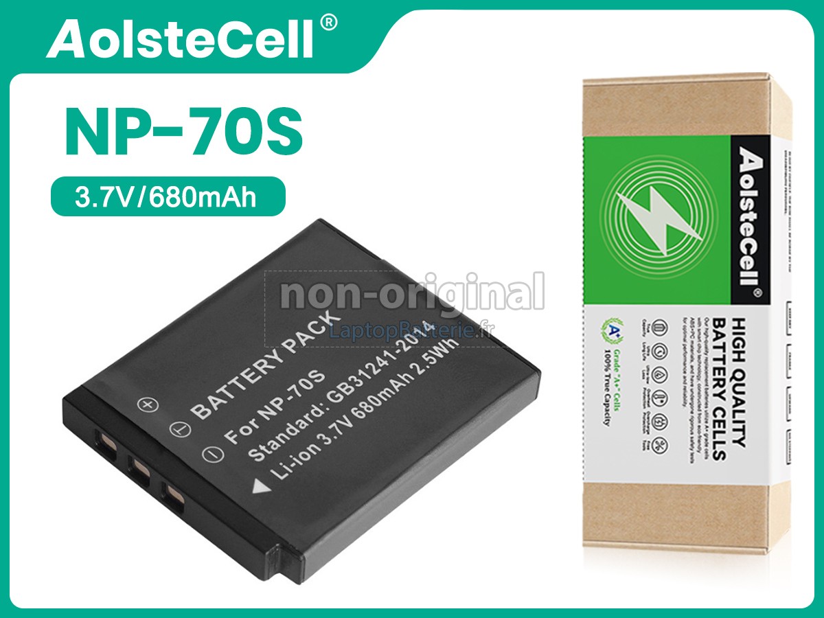 Batterie pour Fujifilm INSTAX MINI 99