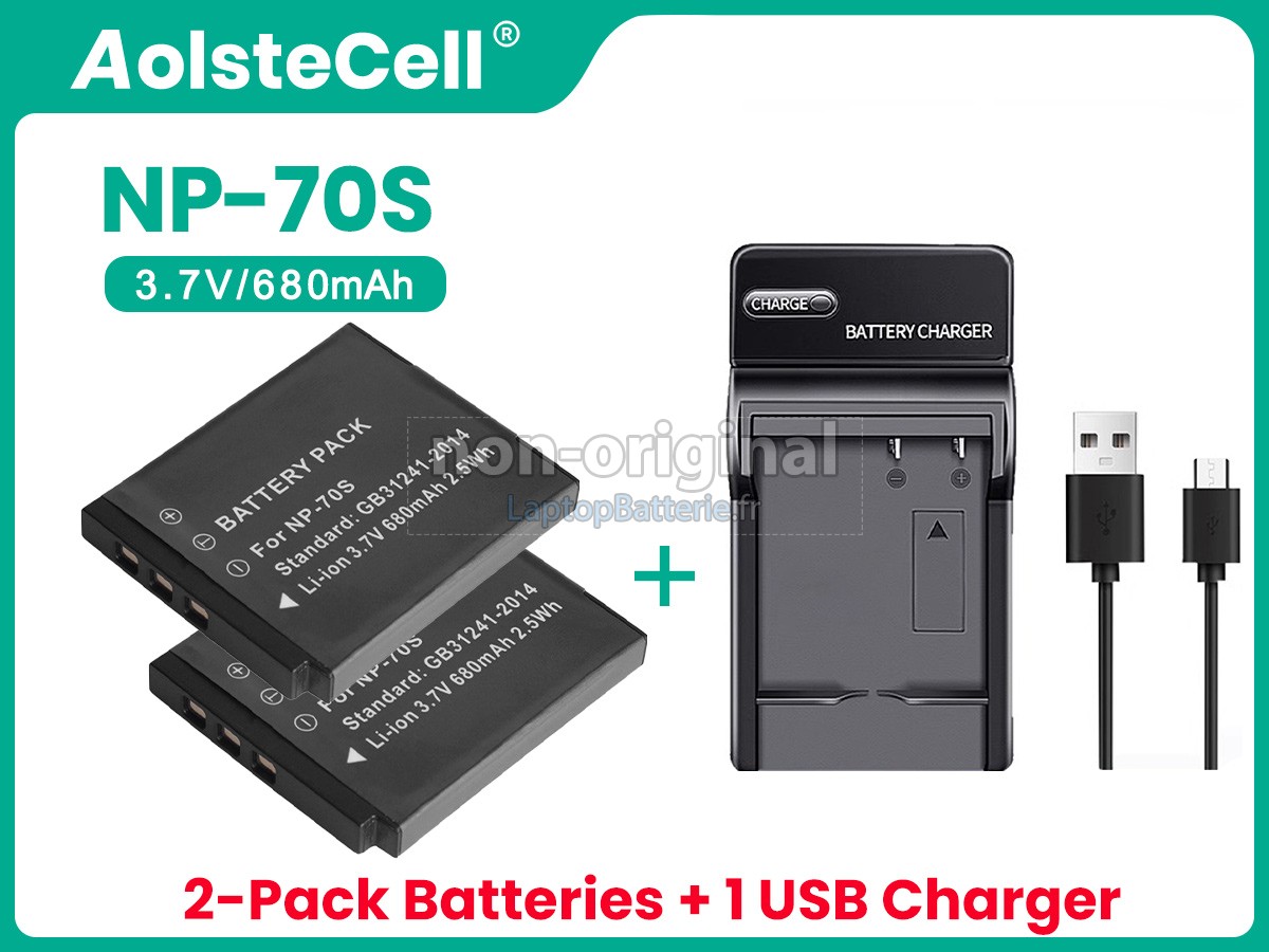 Batterie pour Fujifilm INSTAX MINI 99