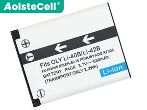Batterie pour ordinateur portable Fujifilm NP-45S