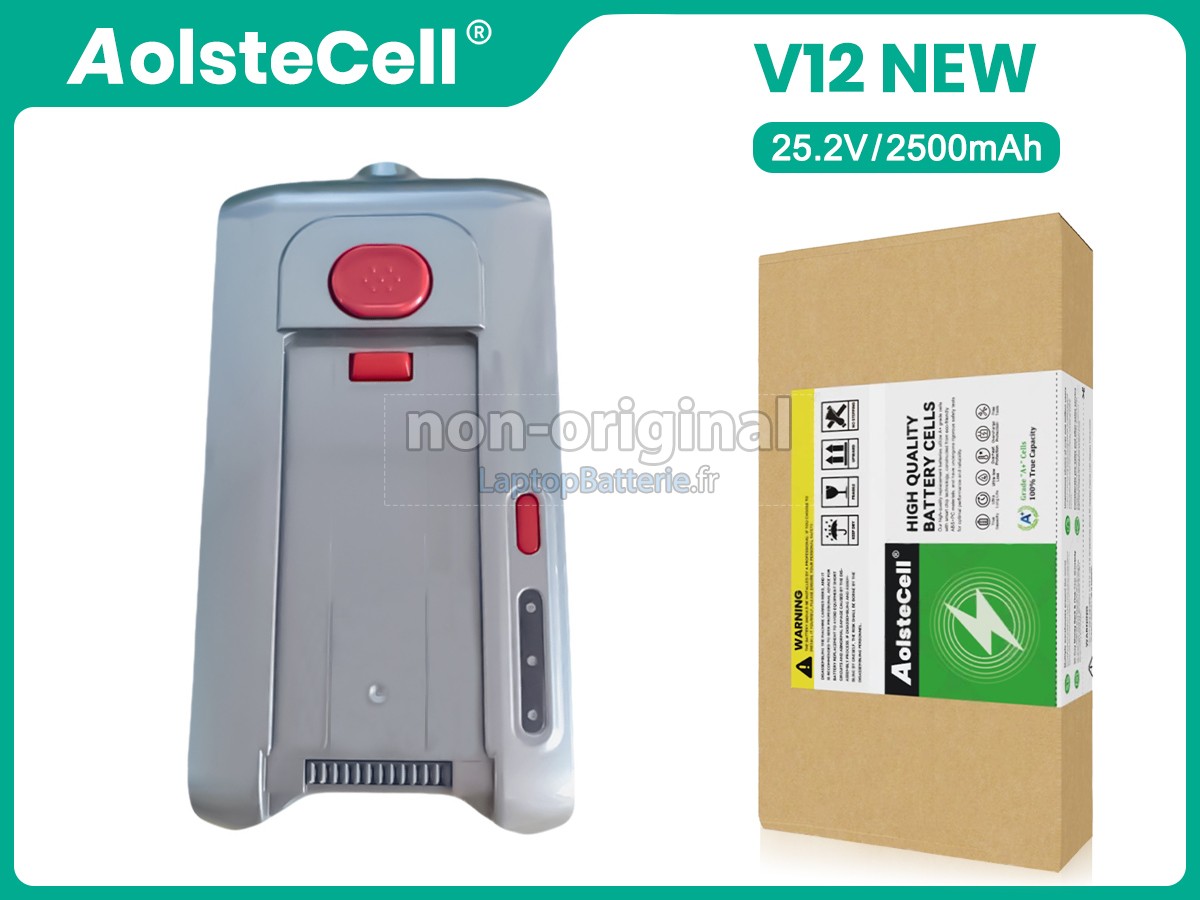 Batterie pour Futula V12 NEW