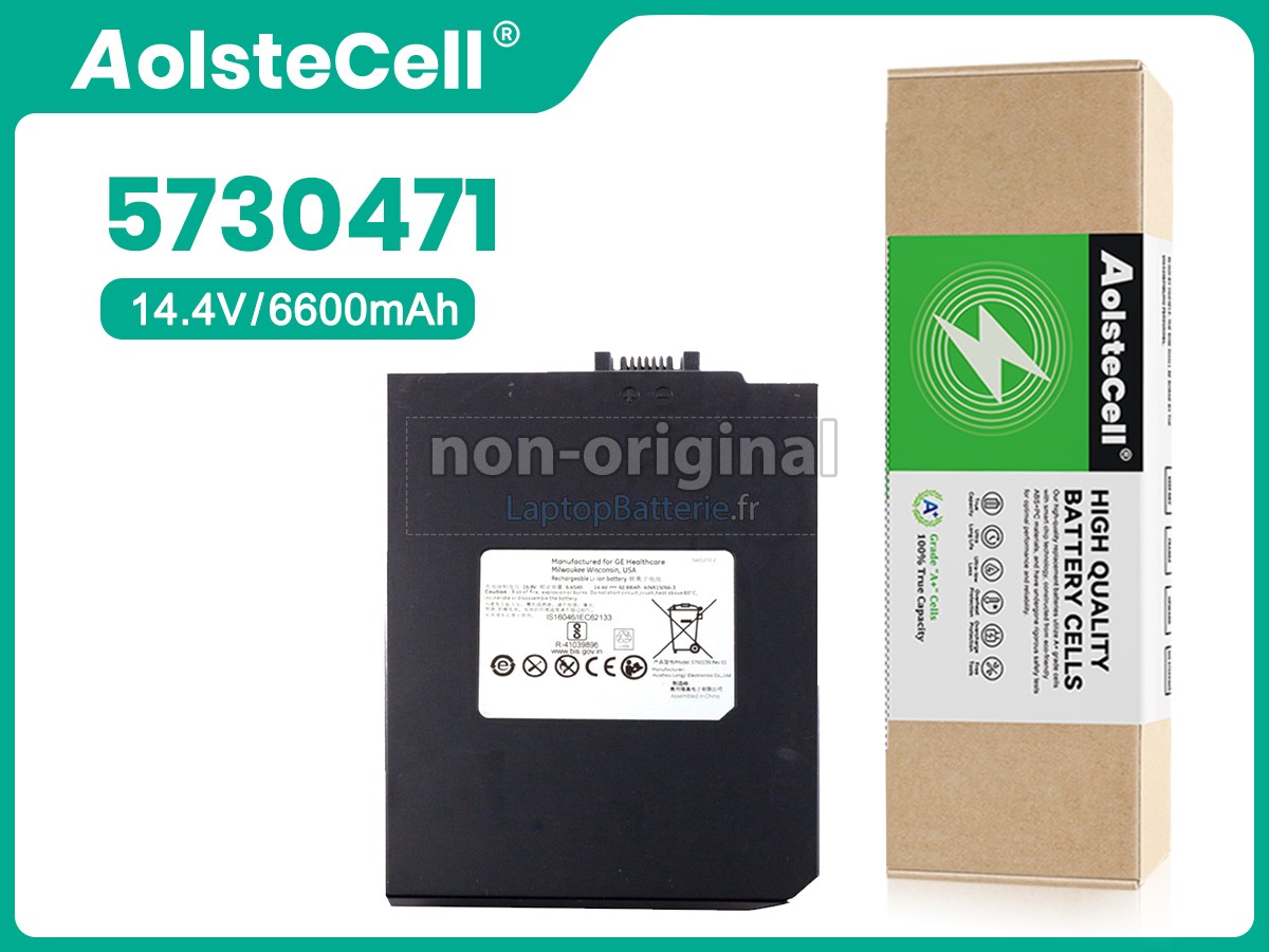 Batterie pour GE 5730471
