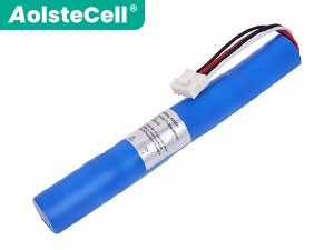 Batterie pour ordinateur portable GE 6050-0006-578 Rev J