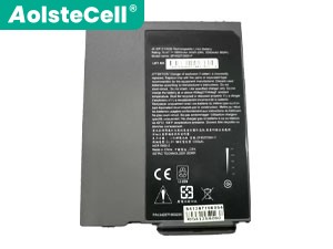 Batterie pour ordinateur portable Getac BP4S2P2900-P