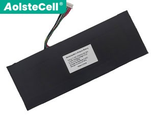 Batterie pour ordinateur portable HIPAA PINCHUN T1