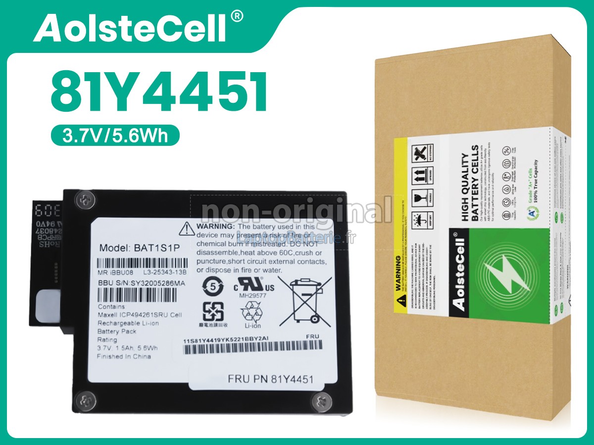 Batterie pour IBM 81Y4451