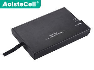 Batterie pour ordinateur portable Inspired Energy NL2024HU22