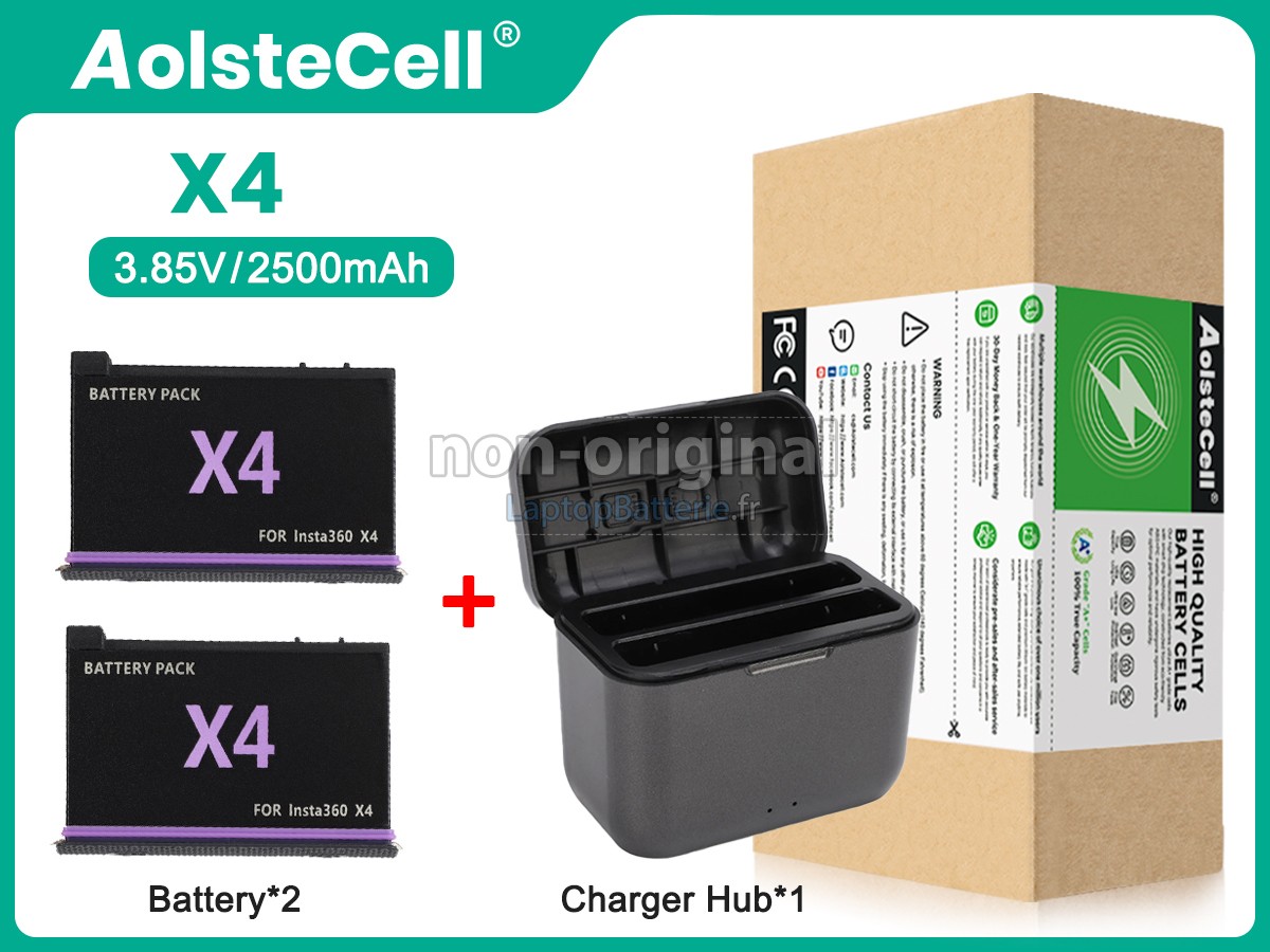 Batterie pour Insta360 CINSBBMA