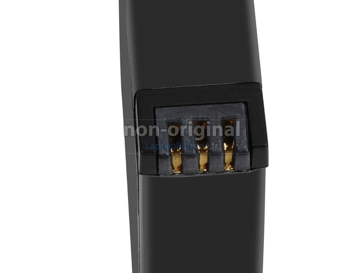 Batterie pour Insta360 IS360XB