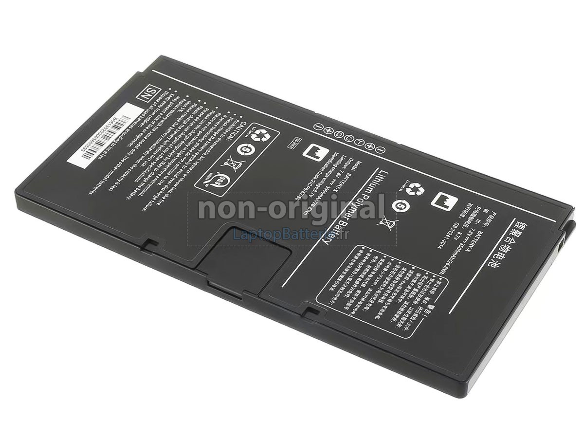 Batterie pour Iray BATTERY-X