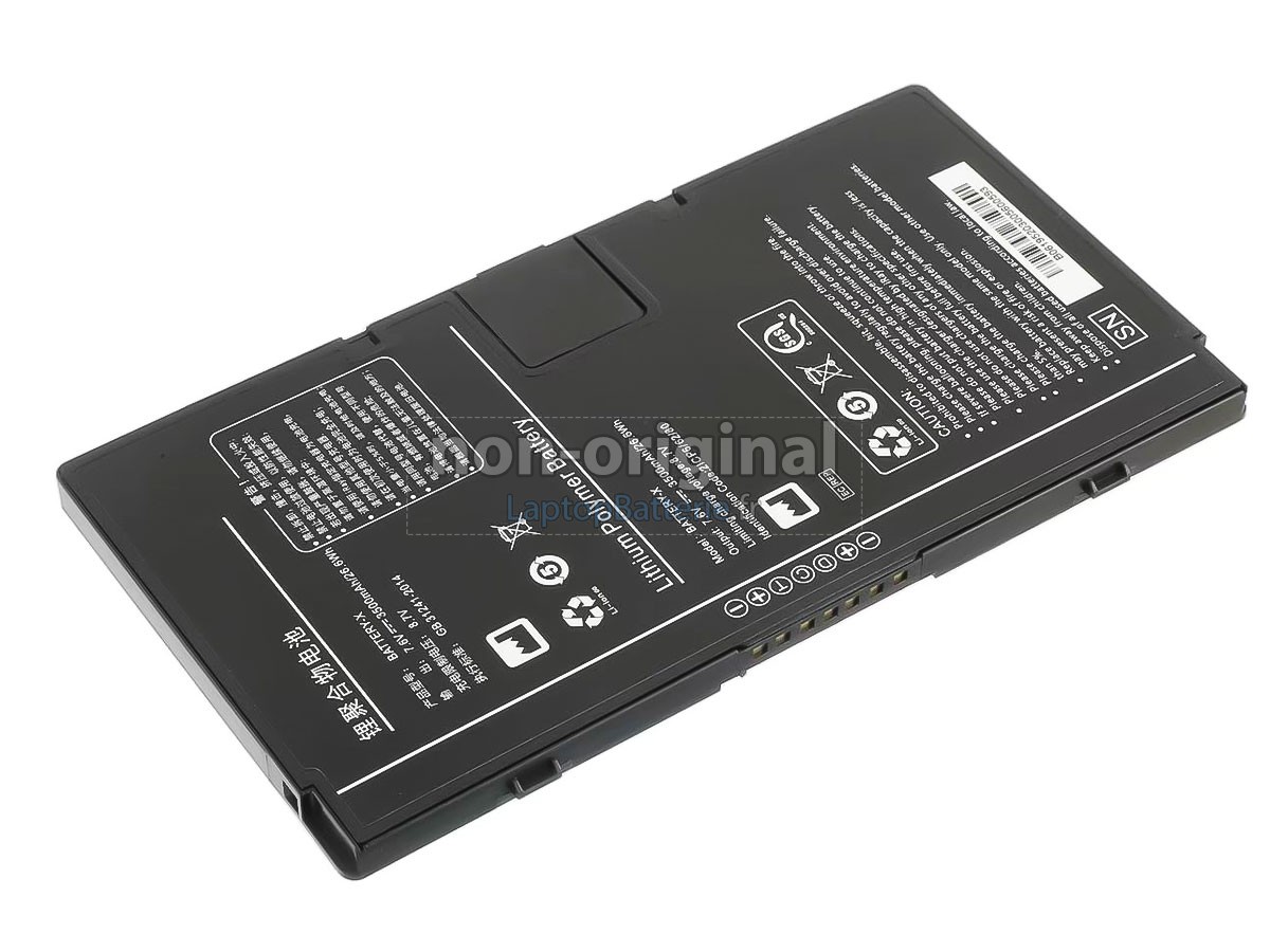 Batterie pour Iray BATTERY-X