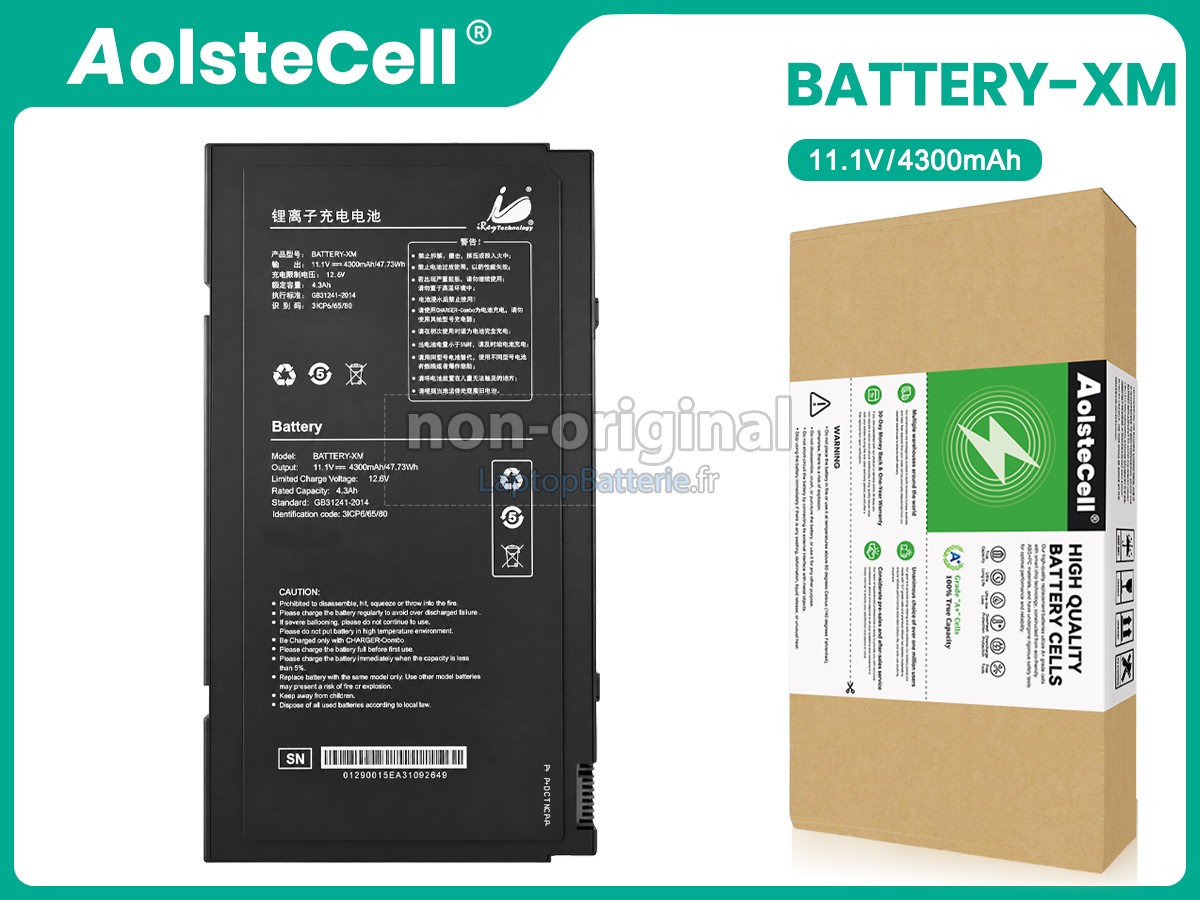 Batterie pour Iray BATTERY-XM