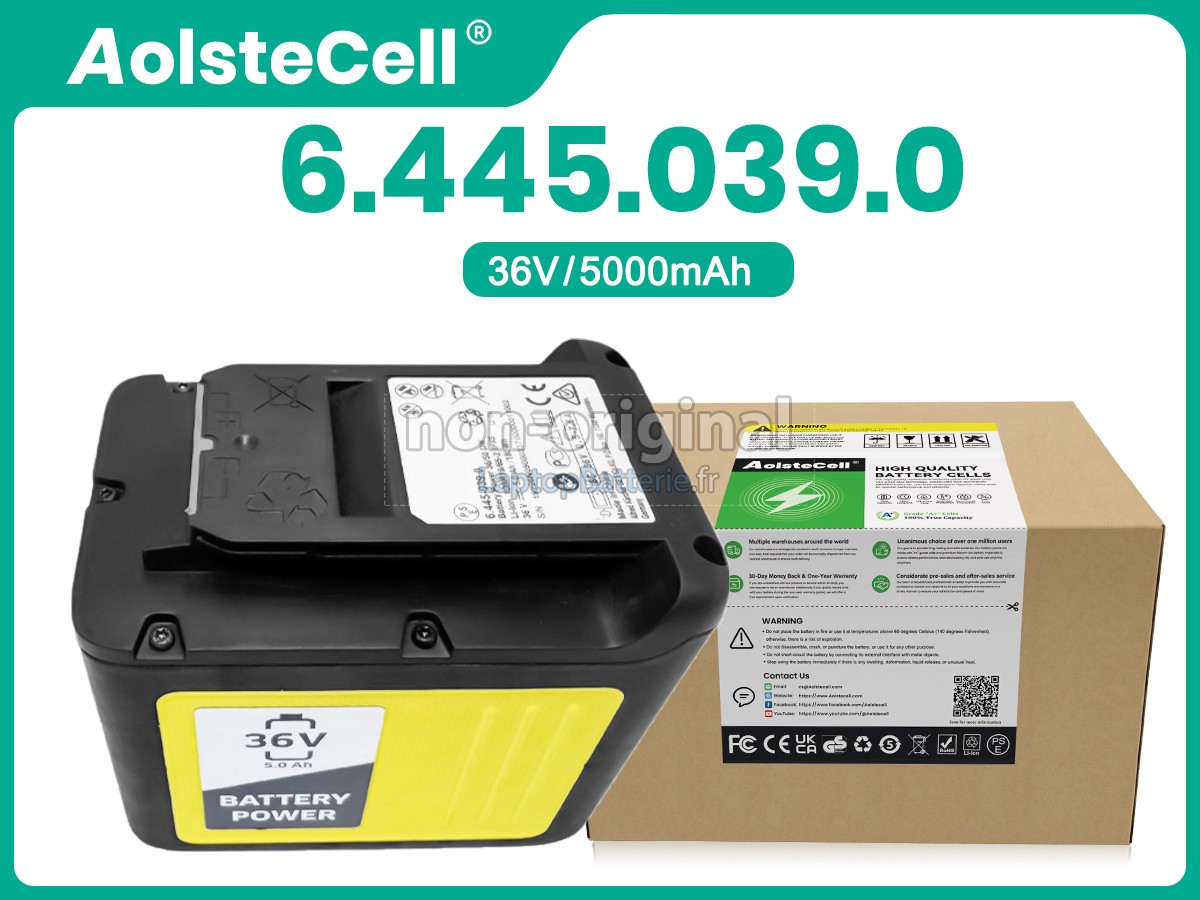 Batterie pour Karcher 36V 6.445-038.0