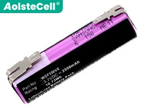 Batterie pour ordinateur portable Karcher WV1