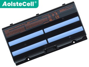 Batterie pour ordinateur portable Medion Erazer X6601