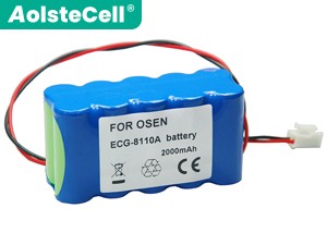Batterie pour ordinateur portable OSEN ecg-8130a
