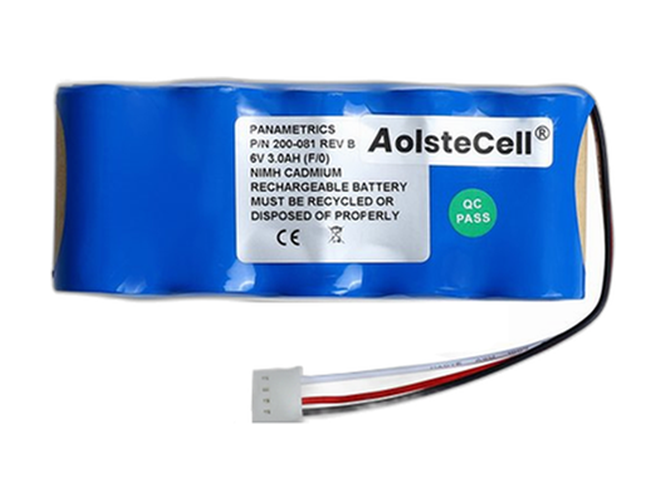 Batterie pour Panametrics 200-081