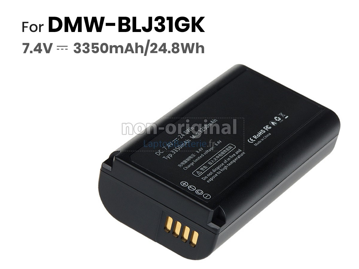 Batterie pour Panasonic DC-S1R