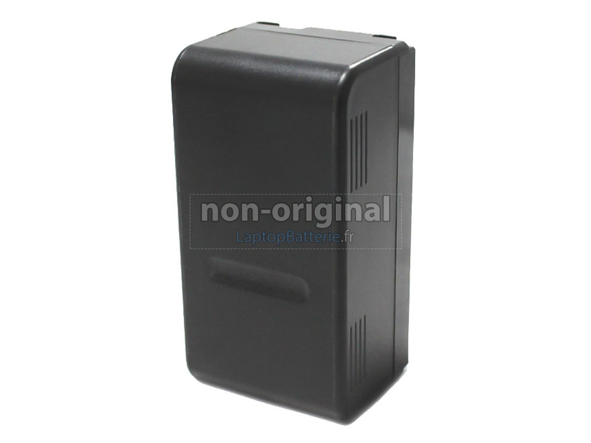 Batterie pour PENTAX R202N