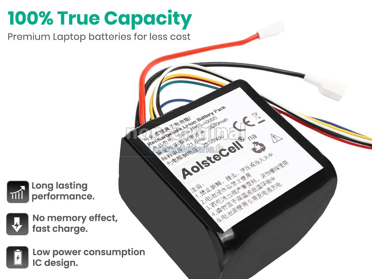 Batterie pour Roborock BCR-1P6S-4000HX