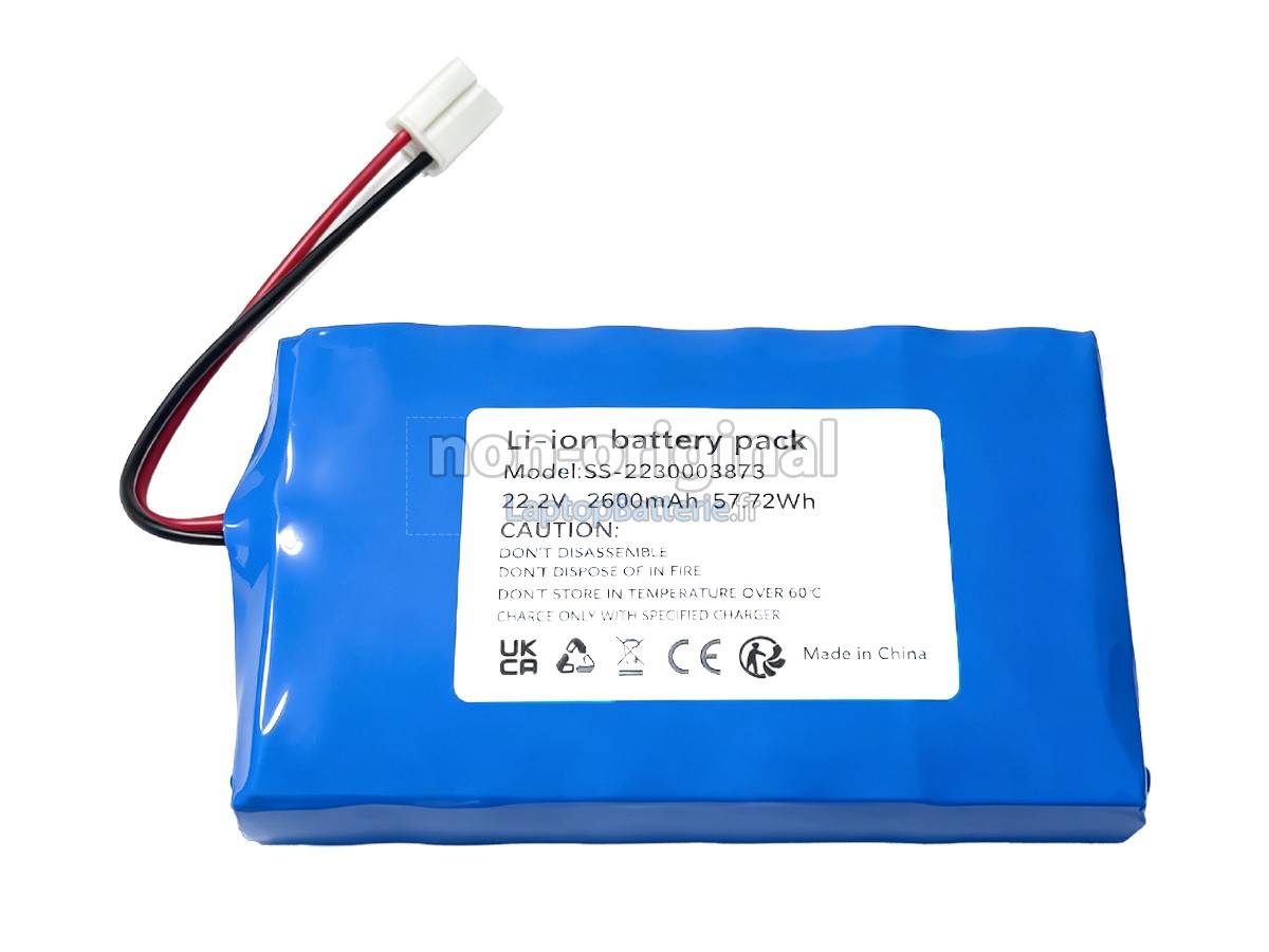Batterie pour Rowenta SS-2230003873