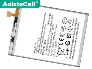 Batterie pour ordinateur portable Samsung EB-BF907ABA