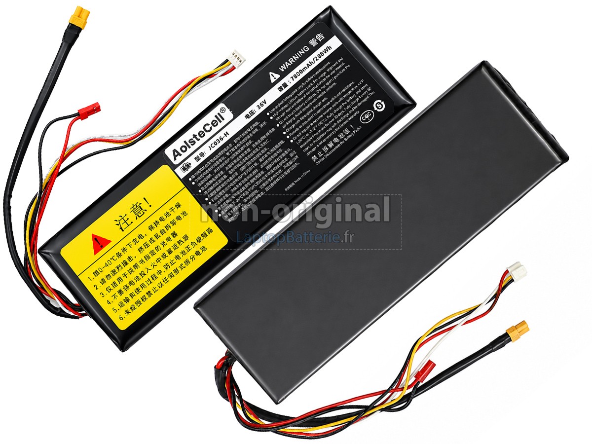Batterie pour Segway Ninebot AB.50.0011.57