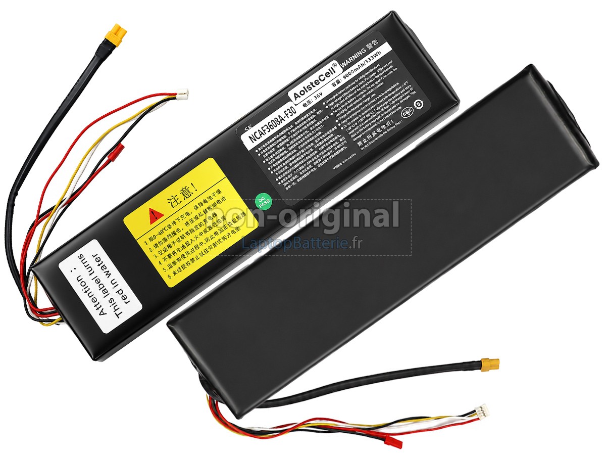 Batterie pour Segway Ninebot AB.50.0011.61