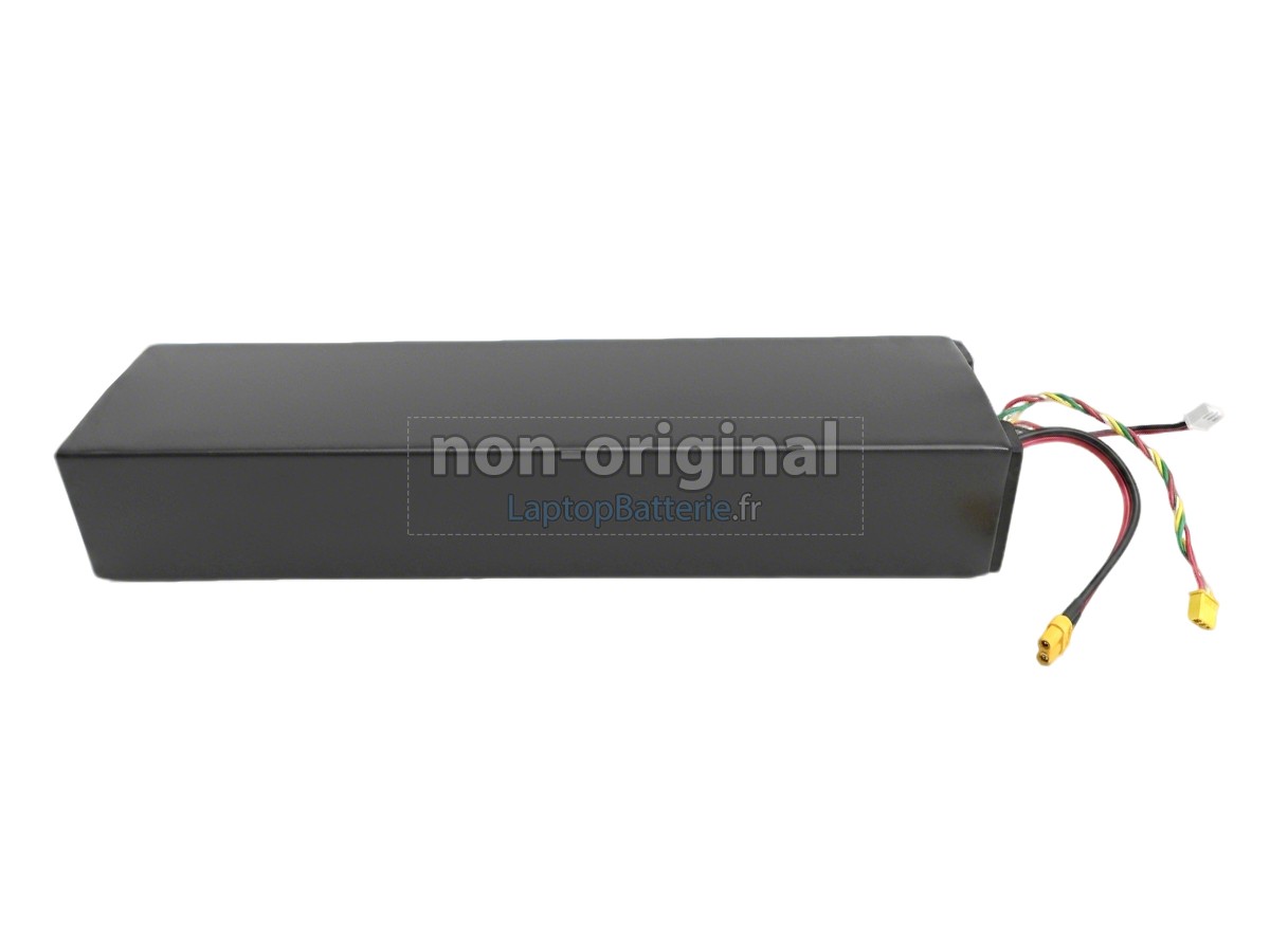 Batterie pour Segway Ninebot D38U