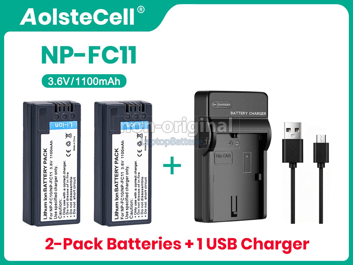 Batterie pour Sony CYBER-SHOT DSC-FX77