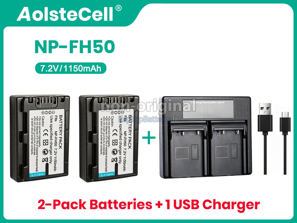 Batterie pour Sony DCR-HC96