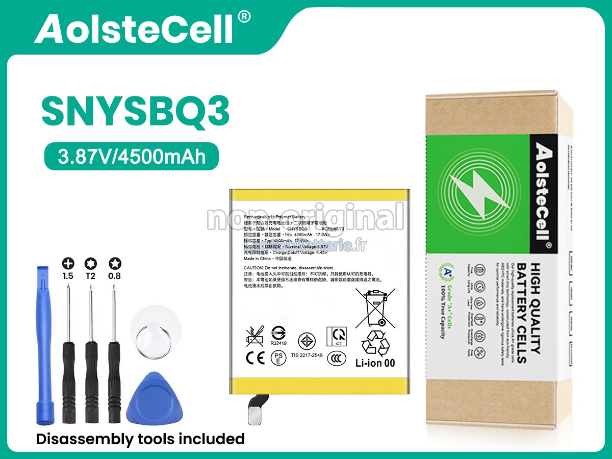 Batterie pour Sony SNYSBQ3